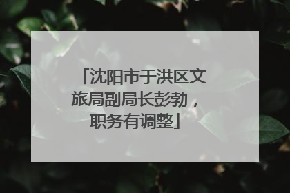 沈阳市于洪区文旅局副局长彭勃，职务有调整
