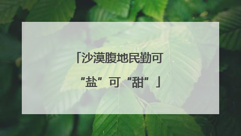 沙漠腹地民勤可“盐”可“甜”