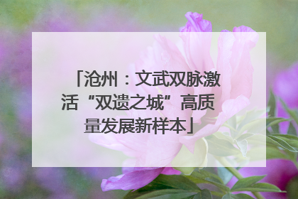 沧州：文武双脉激活“双遗之城”高质量发展新样本