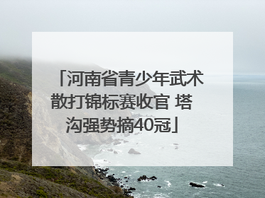 河南省青少年武术散打锦标赛收官 塔沟强势摘40冠