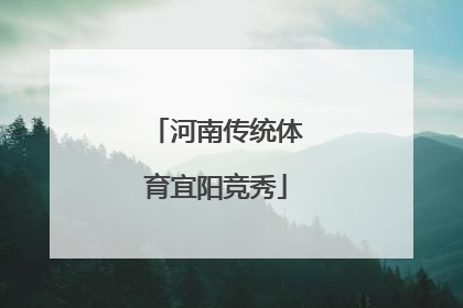 河南传统体育宜阳竞秀