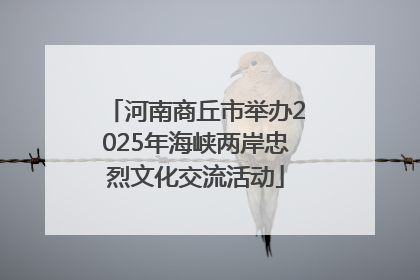 河南商丘市举办2025年海峡两岸忠烈文化交流活动