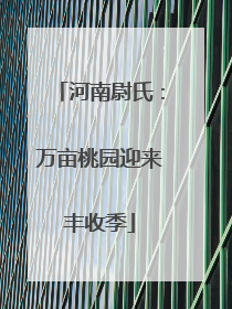 河南尉氏：万亩桃园迎来丰收季