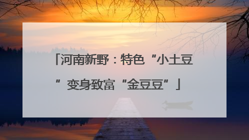 河南新野：特色“小土豆”变身致富“金豆豆”