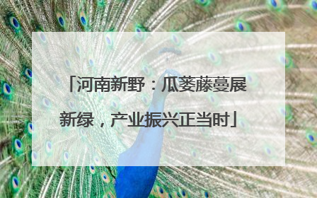 河南新野：瓜蒌藤蔓展新绿，产业振兴正当时