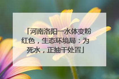 河南洛阳一水体变粉红色，生态环境局：为死水，正抽干处置