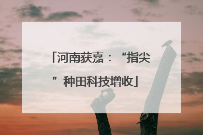 河南获嘉：“指尖”种田科技增收