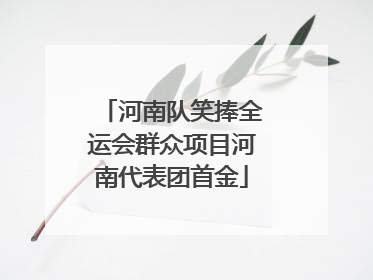 河南队笑捧全运会群众项目河南代表团首金