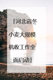 河北省冬小麦大规模机收工作全面启动