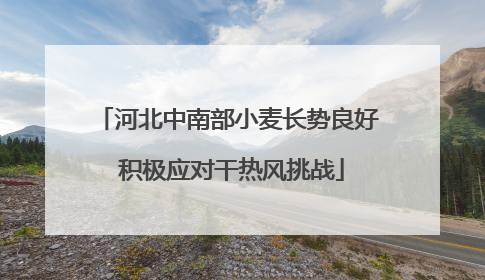 河北中南部小麦长势良好 积极应对干热风挑战
