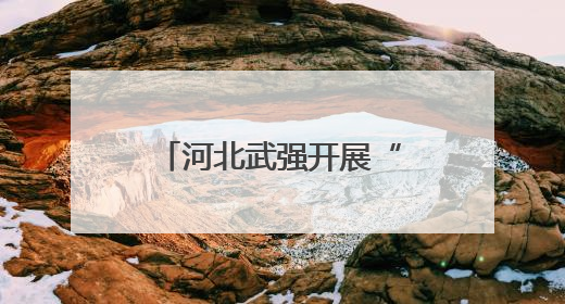 河北武强开展“传承好家风 争做好少年”家风家教主题宣讲活动