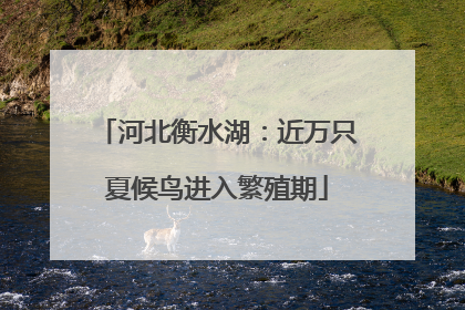 河北衡水湖：近万只夏候鸟进入繁殖期
