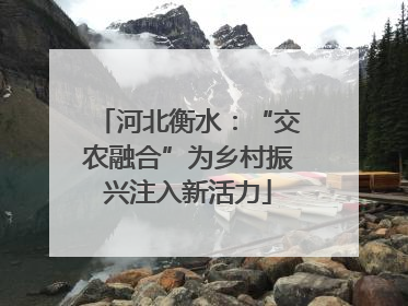 河北衡水：“交农融合”为乡村振兴注入新活力
