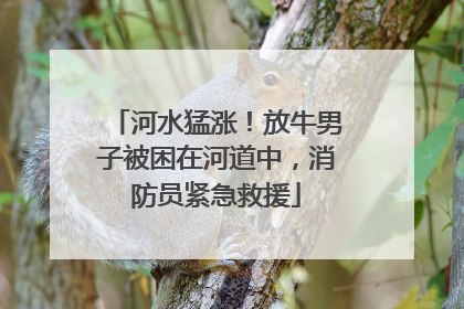 河水猛涨！放牛男子被困在河道中，消防员紧急救援