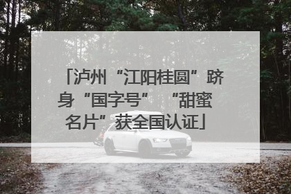 泸州“江阳桂圆”跻身“国字号” “甜蜜名片”获全国认证
