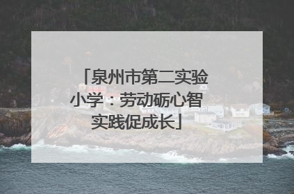 泉州市第二实验小学：劳动砺心智实践促成长