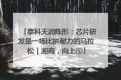 泰科天润陈彤：芯片研发是一场比拼耐力的马拉松｜湘商，向上⑤