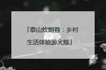 泰山炊烟巷：乡村生活体验游火爆