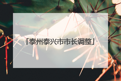 泰州泰兴市市长调整