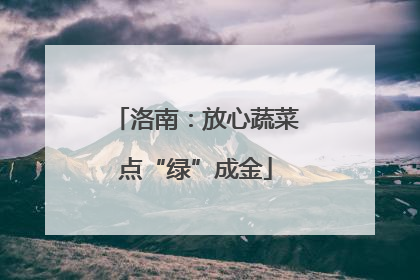 洛南：放心蔬菜点“绿”成金