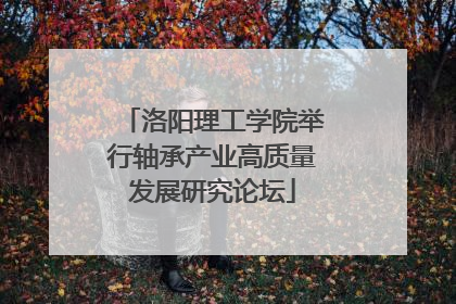 洛阳理工学院举行轴承产业高质量发展研究论坛