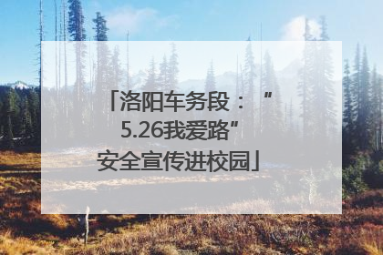 洛阳车务段：“5.26我爱路”安全宣传进校园