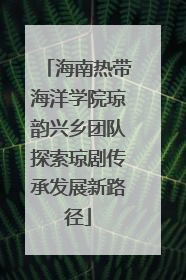 海南热带海洋学院琼韵兴乡团队探索琼剧传承发展新路径