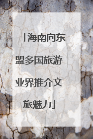 海南向东盟多国旅游业界推介文旅魅力