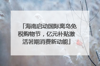 海南启动国际离岛免税购物节，亿元补贴激活暑期消费新动能