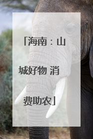 海南：山城好物 消费助农