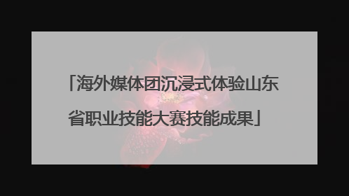 海外媒体团沉浸式体验山东省职业技能大赛技能成果