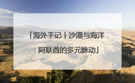 海外手记丨沙漠与海洋：阿联酋的多元脉动