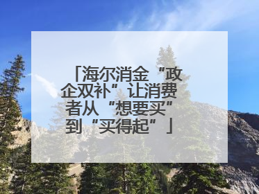 海尔消金“政企双补”让消费者从“想要买”到“买得起”