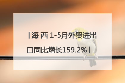海 西 1-5月外贸进出口同比增长159.2%
