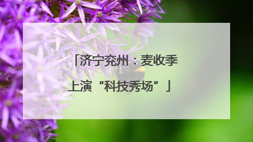 济宁兖州：麦收季上演“科技秀场”