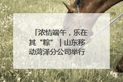 浓情端午，乐在其“粽”｜山东移动菏泽分公司举行端午节主题活动