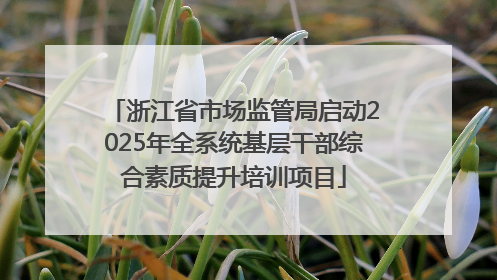 浙江省市场监管局启动2025年全系统基层干部综合素质提升培训项目