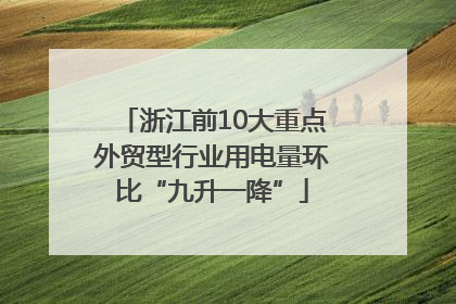 浙江前10大重点外贸型行业用电量环比“九升一降”