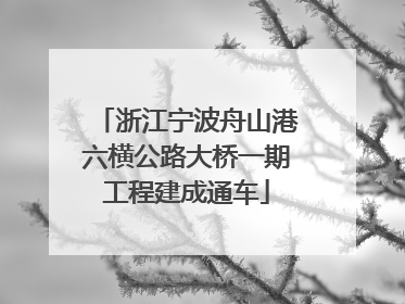 浙江宁波舟山港六横公路大桥一期工程建成通车