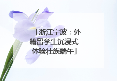 浙江宁波：外籍留学生沉浸式体验壮族端午