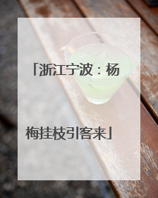 浙江宁波：杨梅挂枝引客来
