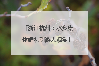 浙江杭州：水乡集体婚礼引游人观赏