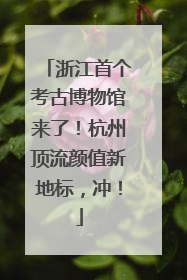 浙江首个考古博物馆来了！杭州顶流颜值新地标，冲！