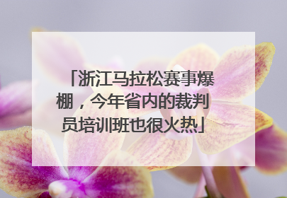 浙江马拉松赛事爆棚，今年省内的裁判员培训班也很火热