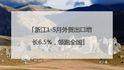 浙江1-5月外贸出口增长6.5%，领跑全国