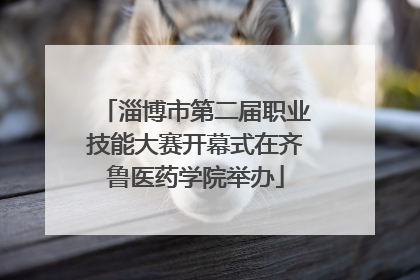 淄博市第二届职业技能大赛开幕式在齐鲁医药学院举办