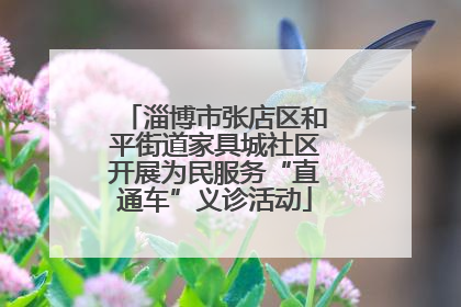 淄博市张店区和平街道家具城社区开展为民服务“直通车”义诊活动