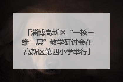 淄博高新区“一核三维三层”教学研讨会在高新区第四小学举行