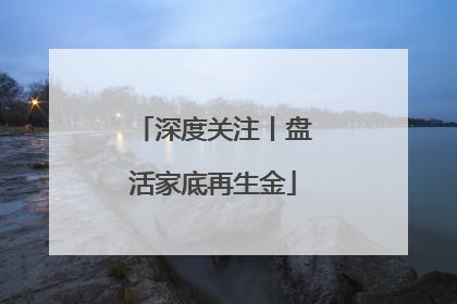 深度关注丨盘活家底再生金