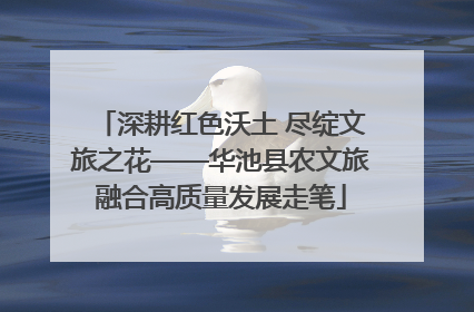 深耕红色沃土 尽绽文旅之花——华池县农文旅融合高质量发展走笔